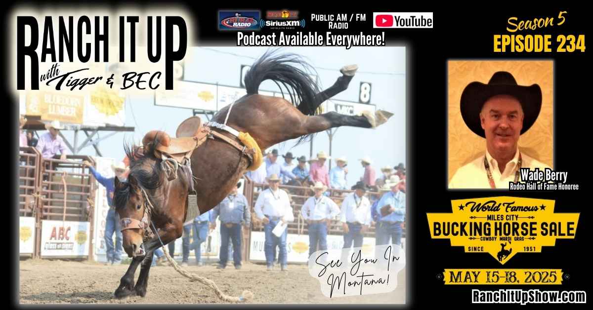 RIU S5 E234 Miles City Bucking Horse Sale & Rodeo. Cattle Industry News. Jeff Erhardt Tigger Rebecca Wanner BEC. Wade Berry (1) RIU S5 E234 Miles City Bucking Horse Sale & Rodeo. Cattle Industry News. Jeff Erhardt Tigger Rebecca Wanner BEC. Wade Berry
