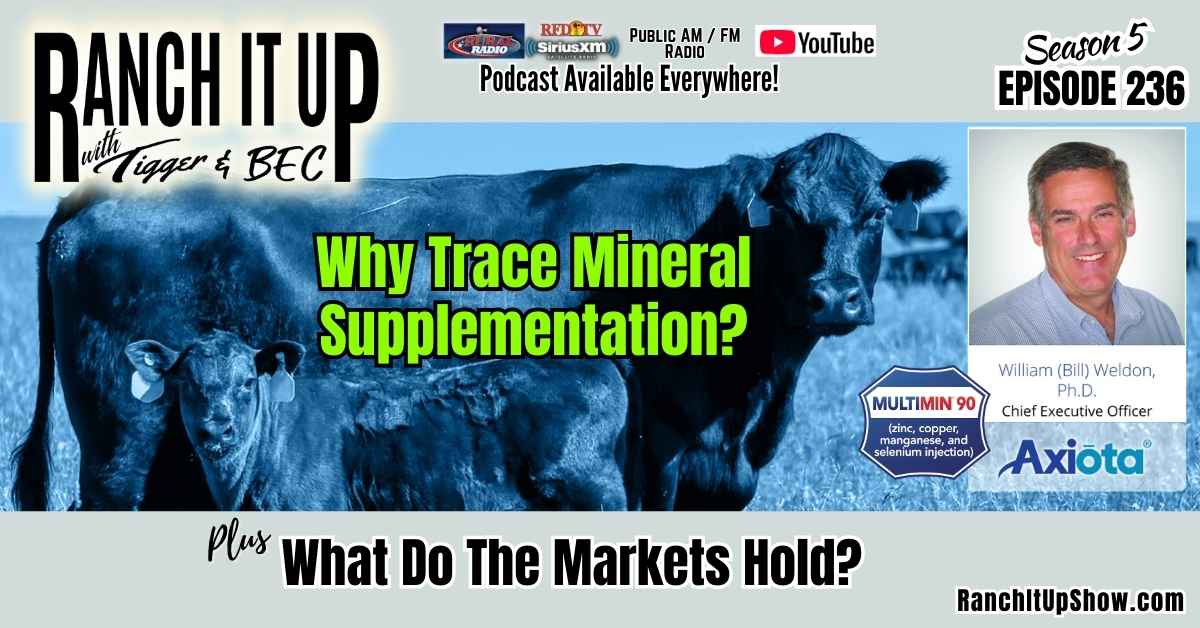 RIU S5 E236 Trace Mineral Supplementation Multimin90. Montana. Cattle Industry News. Jeff Erhardt Tigger Rebecca Wanner BEC. Dr. William Weldon Axiota Why Supplement Trace Minerals & Cattle Markets