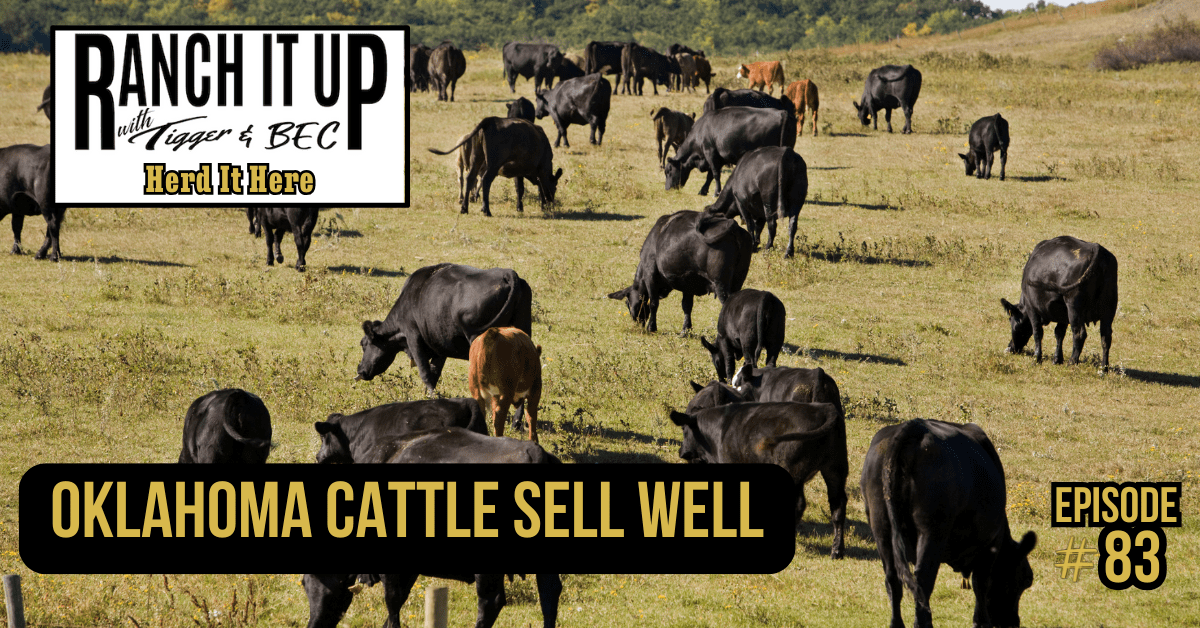 Ranch It Up Herd It Here Episode 83. Jeff Tigger Erhardt. Oklahoma Cattle Sell Wellaw Ranch It Up Herd It Here Episode 83. Jeff Tigger Erhardt. Oklahoma Cattle Sell Wellaw