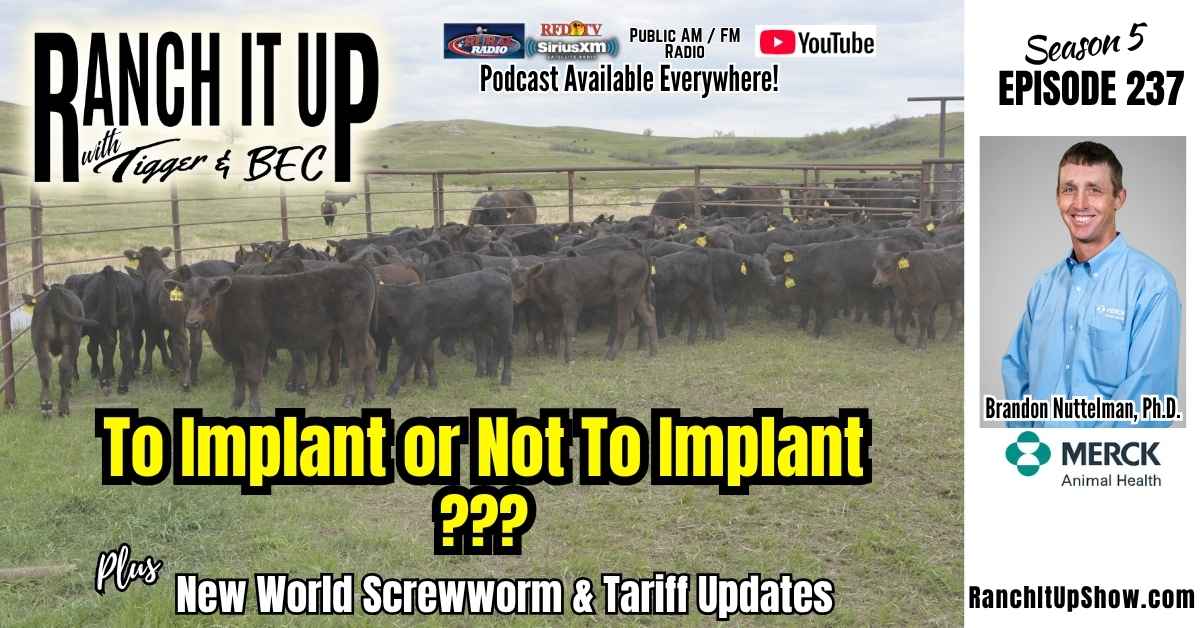Ranch It Up S5 E237 Why To Implant. New World Screwworm. Tariff Cattle Industry News. Jeff Erhardt Tigger Rebecca Wanner BEC. Brandon Nuttelman Merck Animal Health Why To Implant Calves, New World Screwworm & Cattle Trade Updates