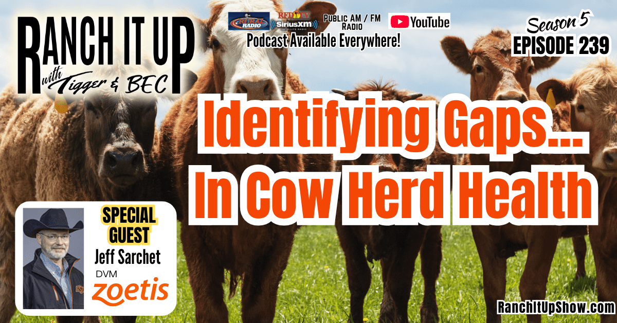 Ranch It Up S5 E239 Identifying Gaps... In Cow Herd Health Cattle Industry News. Jeff Erhardt Tigger Rebecca Wanner BEC. Jeff Sarchet Zoetis Animal Health Vet Ranch It Up S5 E239 Identifying Gaps... In Cow Herd Health Cattle Industry News. Jeff Erhardt Tigger Rebecca Wanner BEC. Jeff Sarchet Zoetis Animal Health Vet