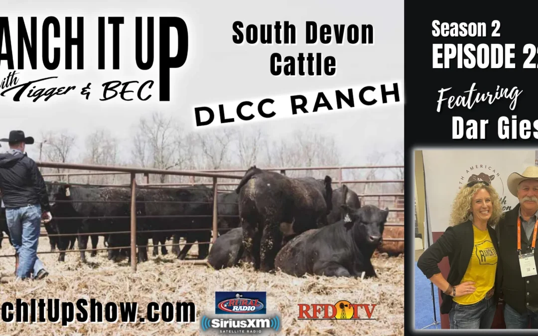 South Devon Cattle, Bucking Horses, Missouri Feeder & More!