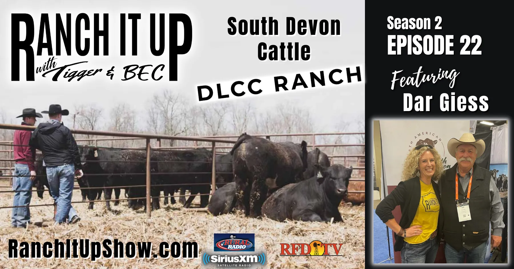 South Devon Cattle, Bucking Horses, Missouri Feeder & More!