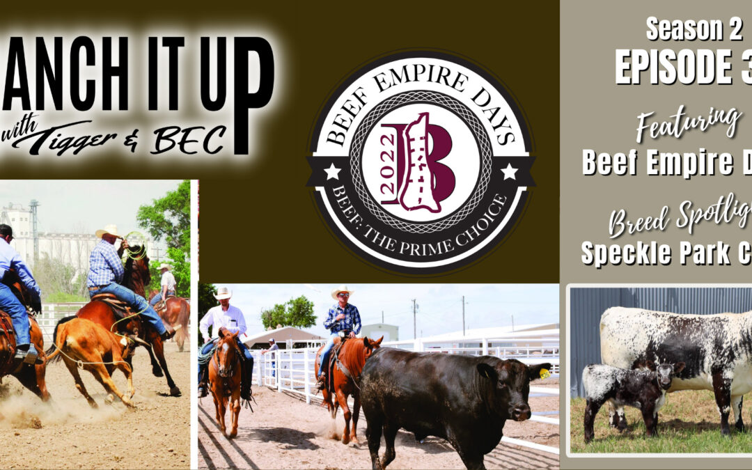 A Celebration of Beef, Speckle Park Cattle, Sales, News & More