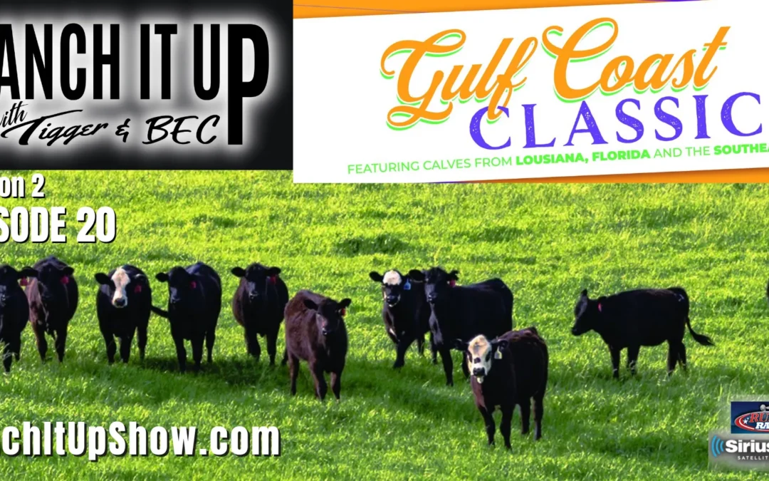 The Gulf Coast Classic Sale, Bull Sale Updates, Reports, Markets & More