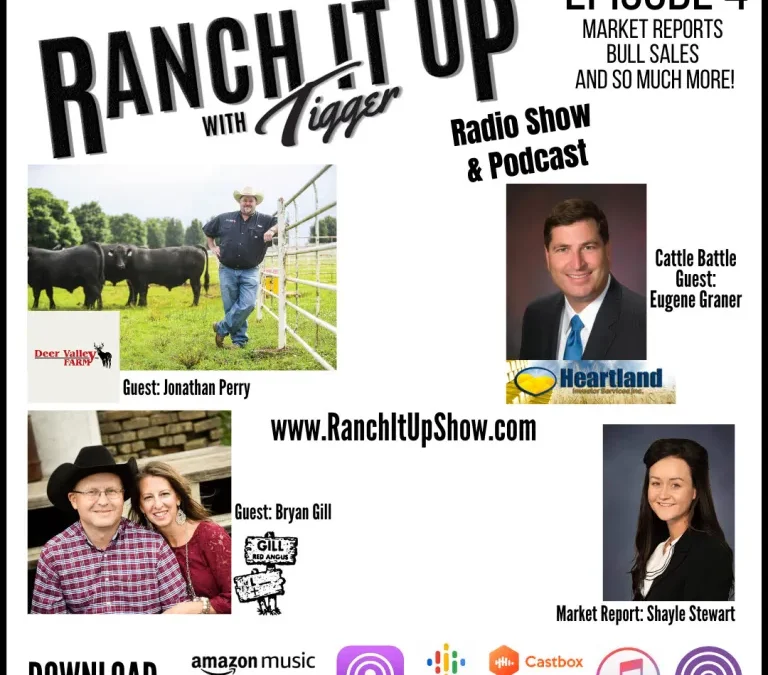 Cattle Marketing 101, Buying and Selling Bulls, And So Much More!!