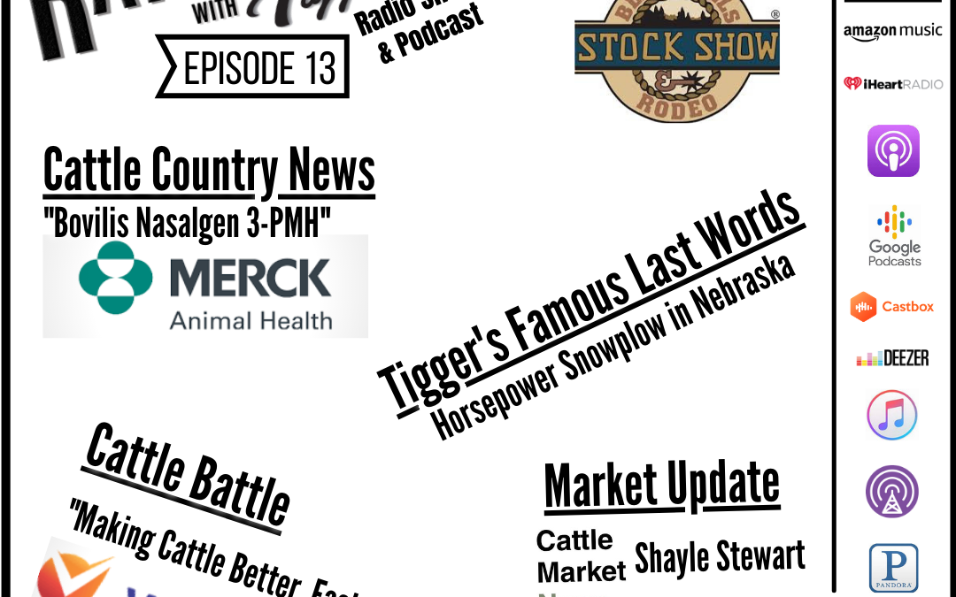 Tools for the Cattleman’s Toolbox, Making Cattle Better Faster, & So Much More