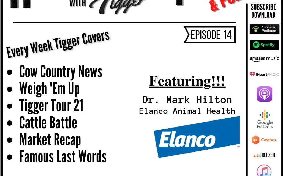 Winter Cow Care, Tigger’s Famous Last Words, Sale Barn Reports & So Much More!