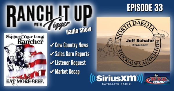 Lots From the NewsRoom, Missouri Sale Barn Report, Asking the Tough Questions & So Much More