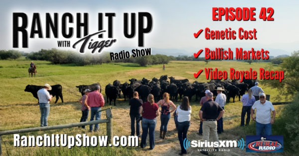 Genetic Costs, Genetic Selection, The Video Royale & So Much More!!