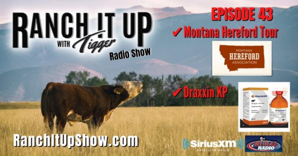 Draxxin KP, Montana Hereford Tour, & So Much More!!