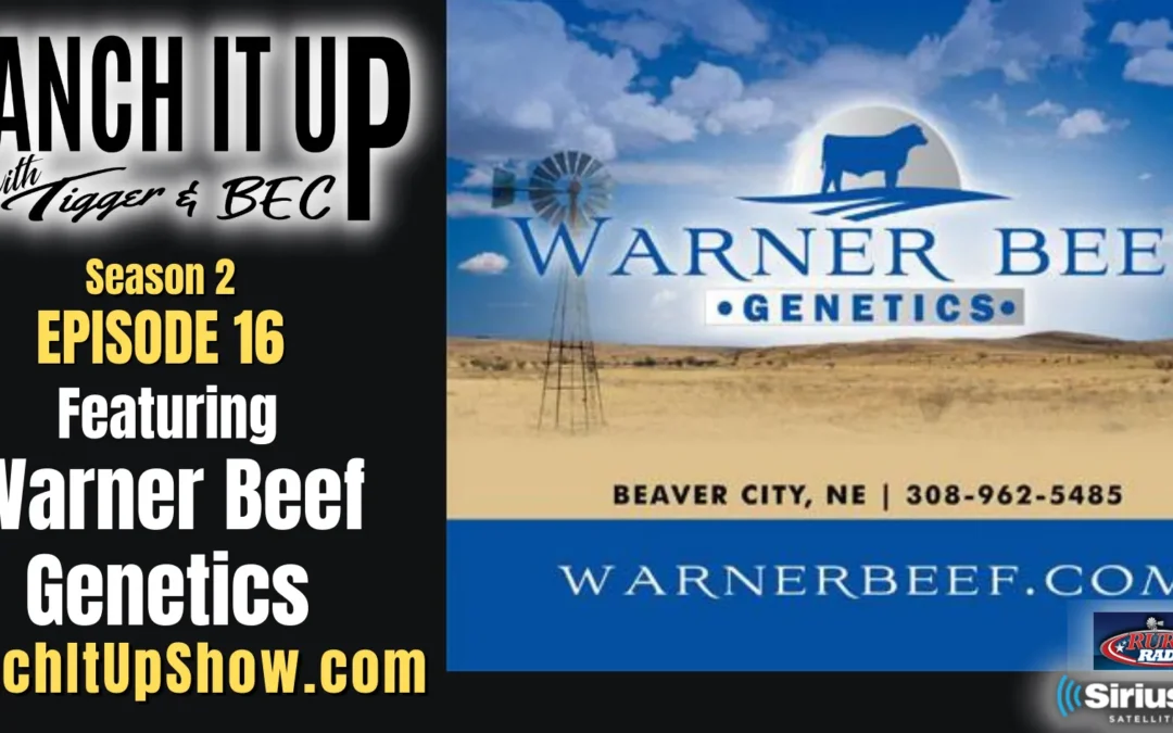 Bull Sale Season, Warner Beef Genetics, Recaps & More