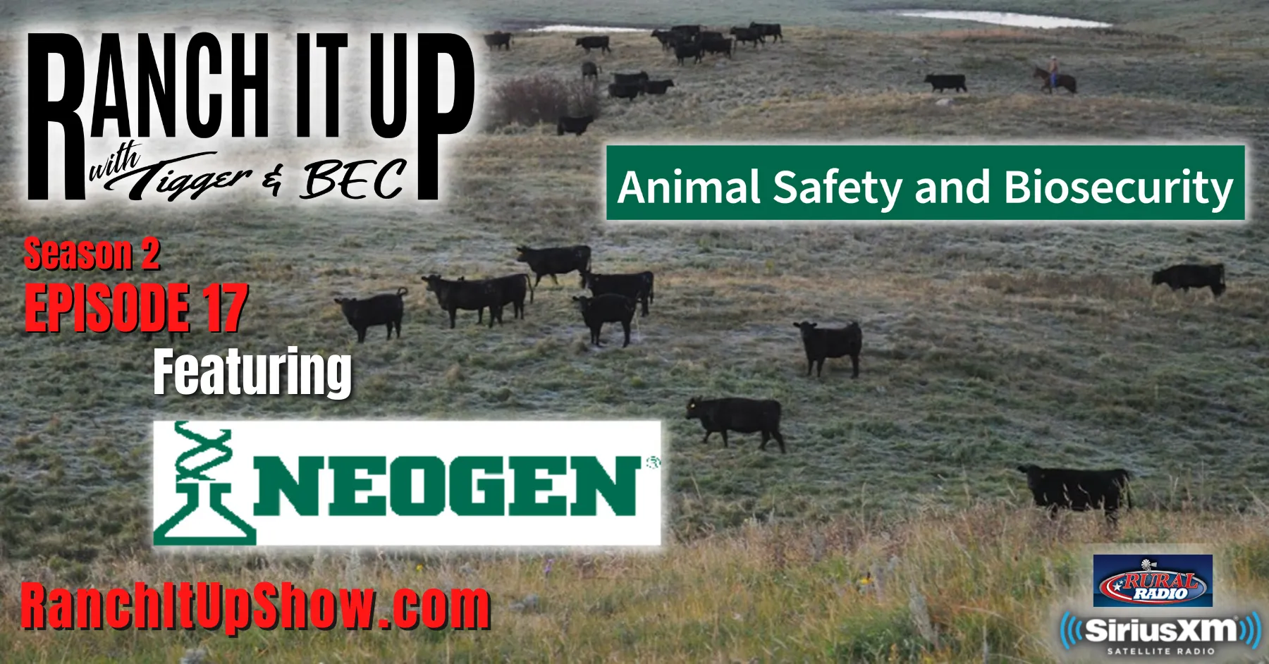 Animal Safety Solutions, Neogen, Sale Updates & More