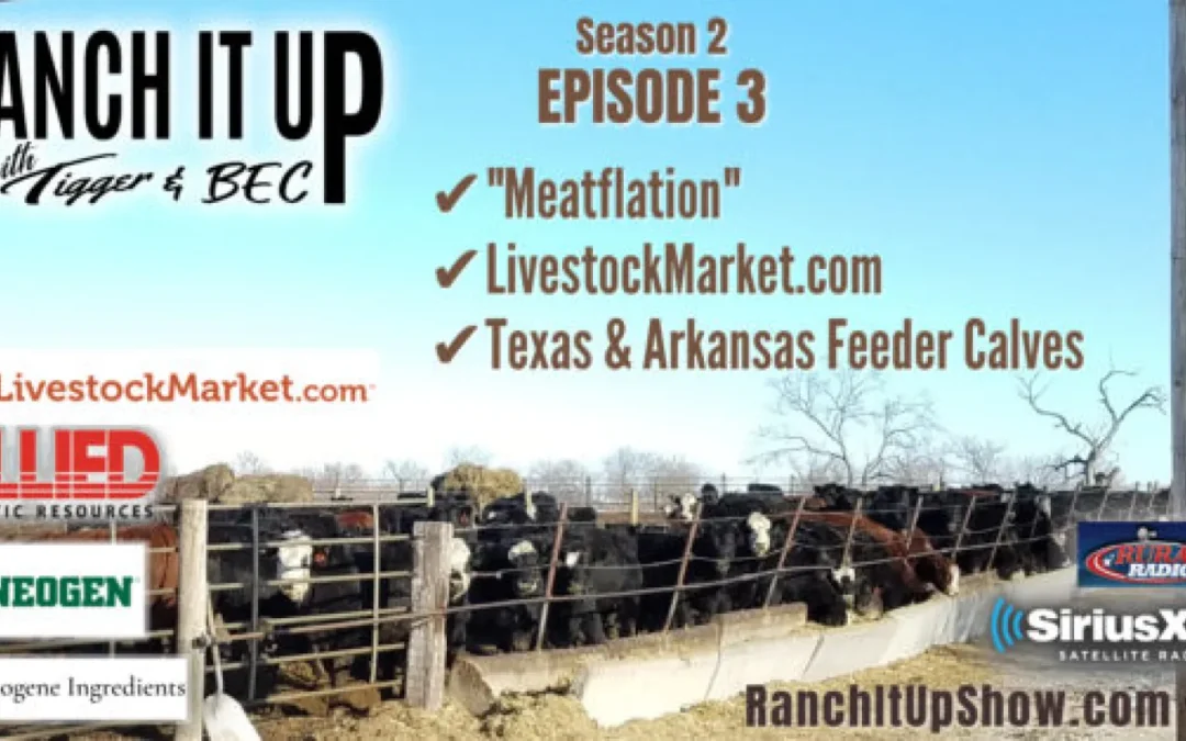 Livestock Market As A New Partner, Meatflation, Feeder Calf Summaries & Lots More!!