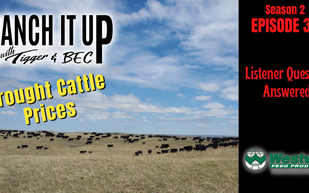 Listener Questions Answered, Cow Country News, Markets & Prices