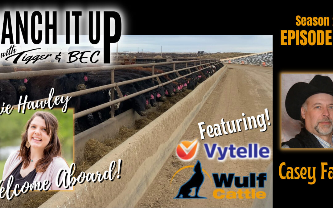 Top Proven Bulls, Vytelle, Feed Efficiency, Markets, News & More!!