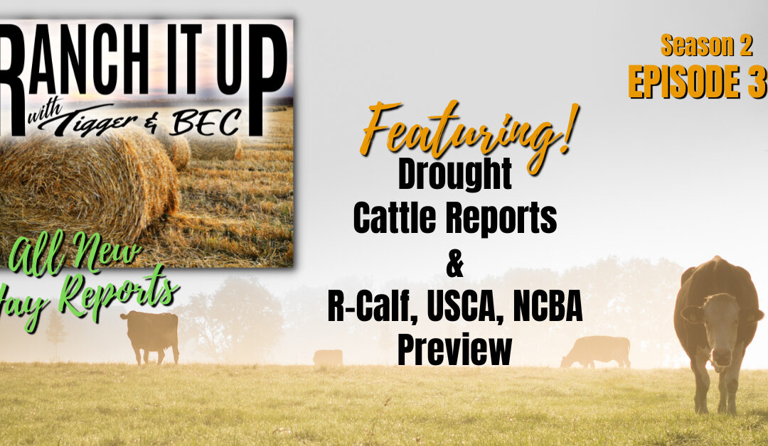 New Hay Reports, Drought Cattle Sales, News, Markets, Previews & More