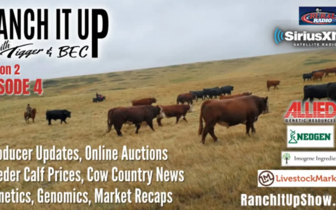 Online Auctions, Producer Updates, Genetics, & So Much More!!
