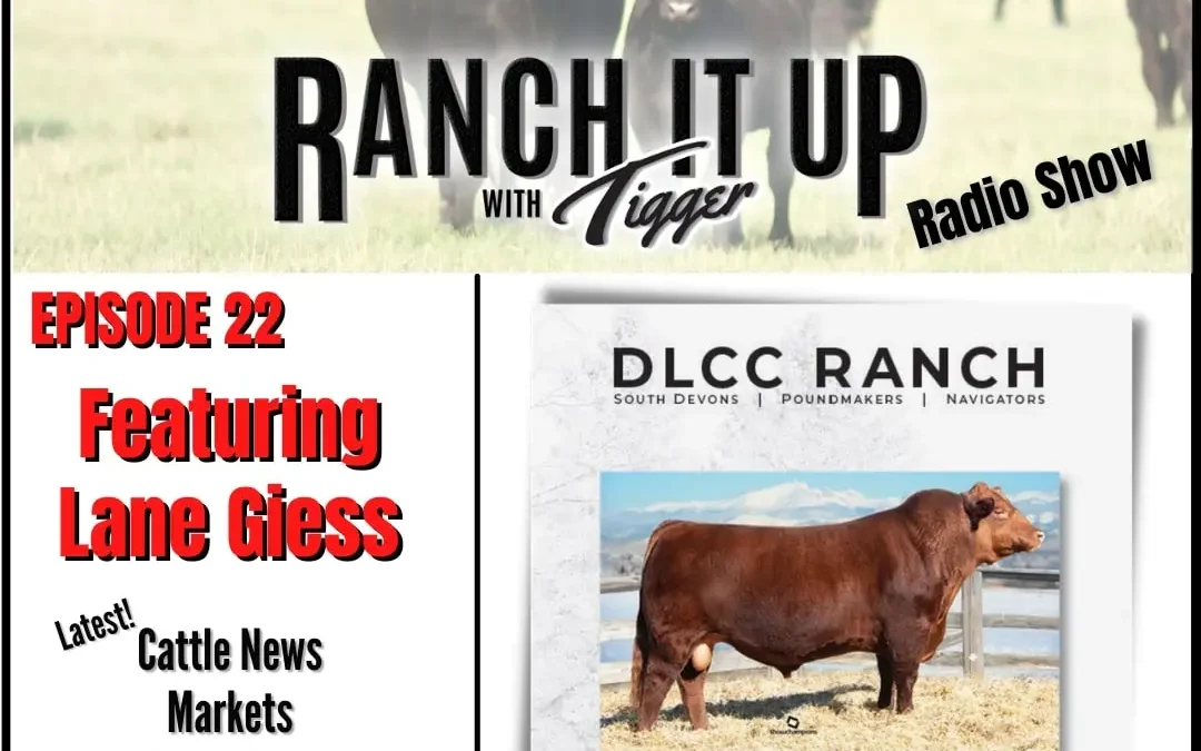 South Devon Cattle Sales, Mississippi Sale Barn Reports and So Much More!