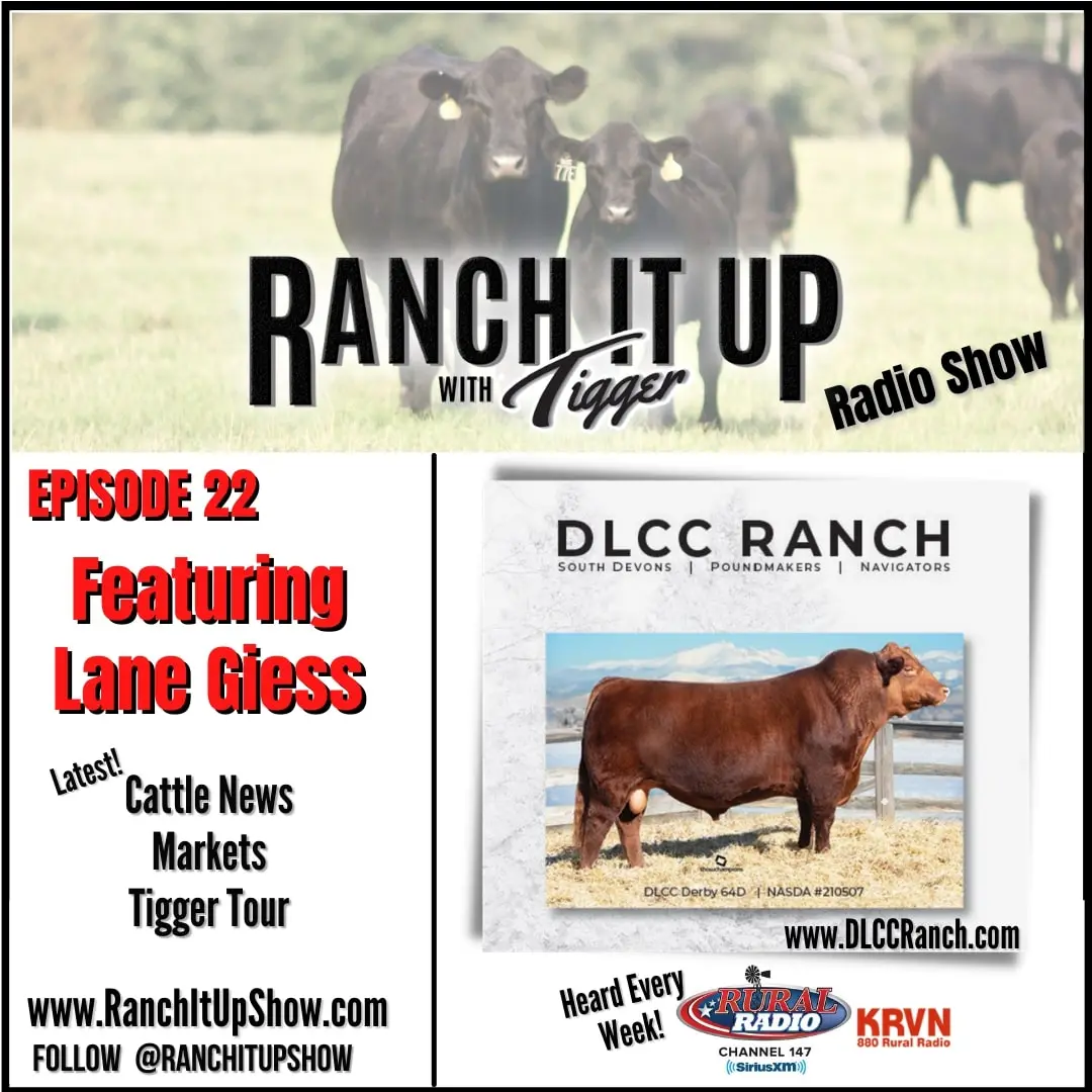 South Devon Cattle Sales, Mississippi Sale Barn Reports and So Much More!