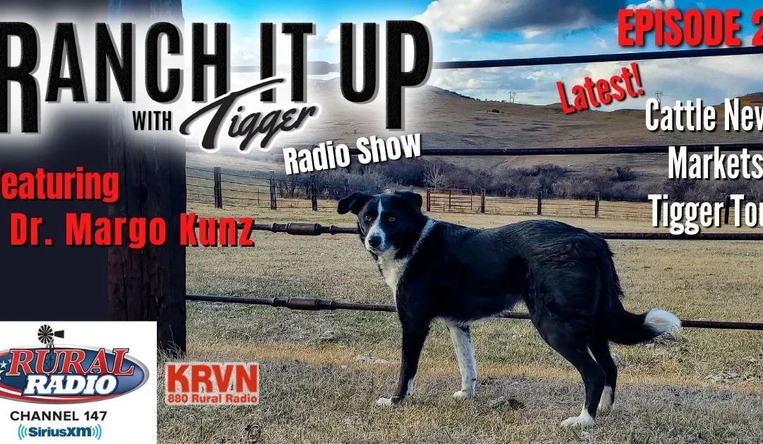 K-9 Chiropractic Care, Plastic Farming & So Much More!