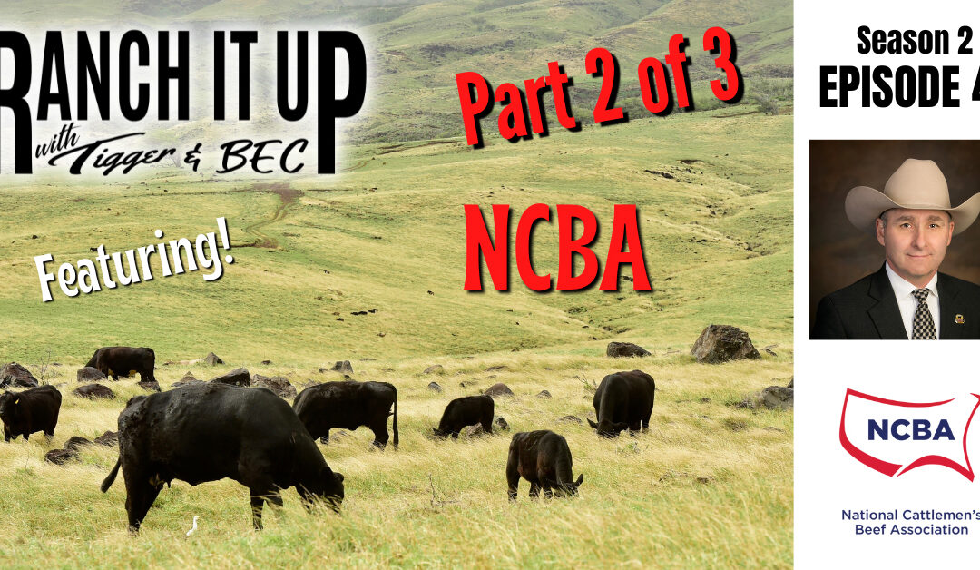 Part 2 of Our 3 Part Series, Featuring NCBA!!