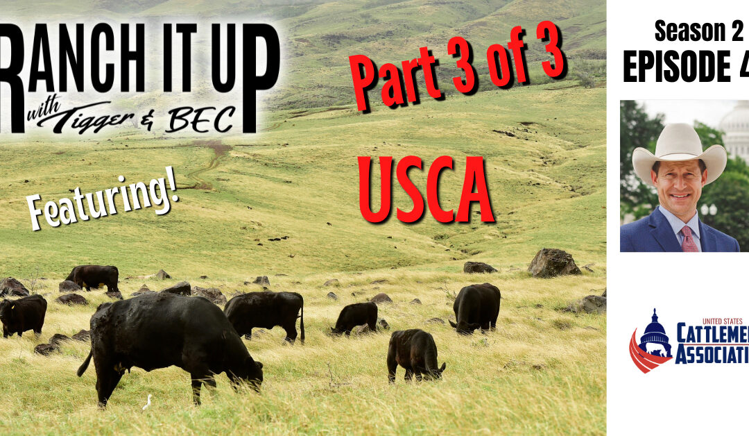 Part 3 of Our 3 Part Series, Featuring USCA!!