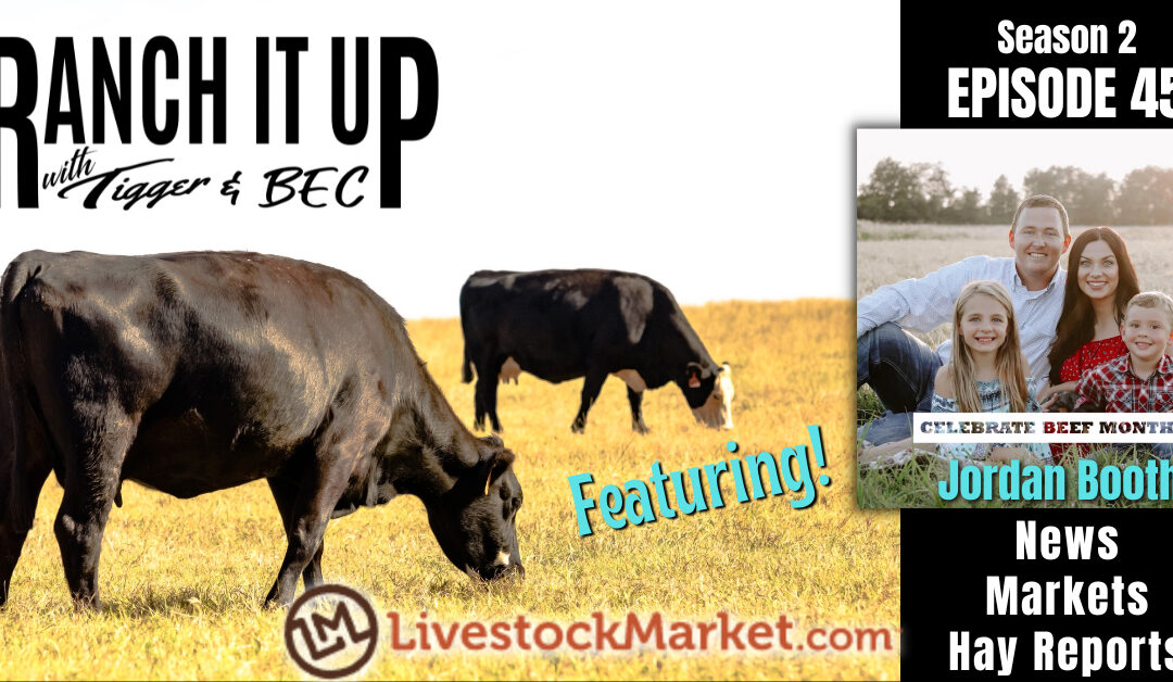 Livestock Market Services, Feeder Cattle Sales, News & Lots More