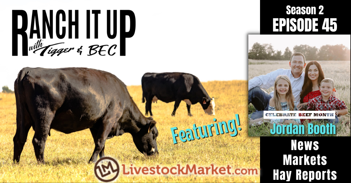 RIU S2 E44 Website & Radio Neogen Cattle Markets Livestock Cattle Prices Jeff Erhardt Tigger Rebecca Wanner BEC