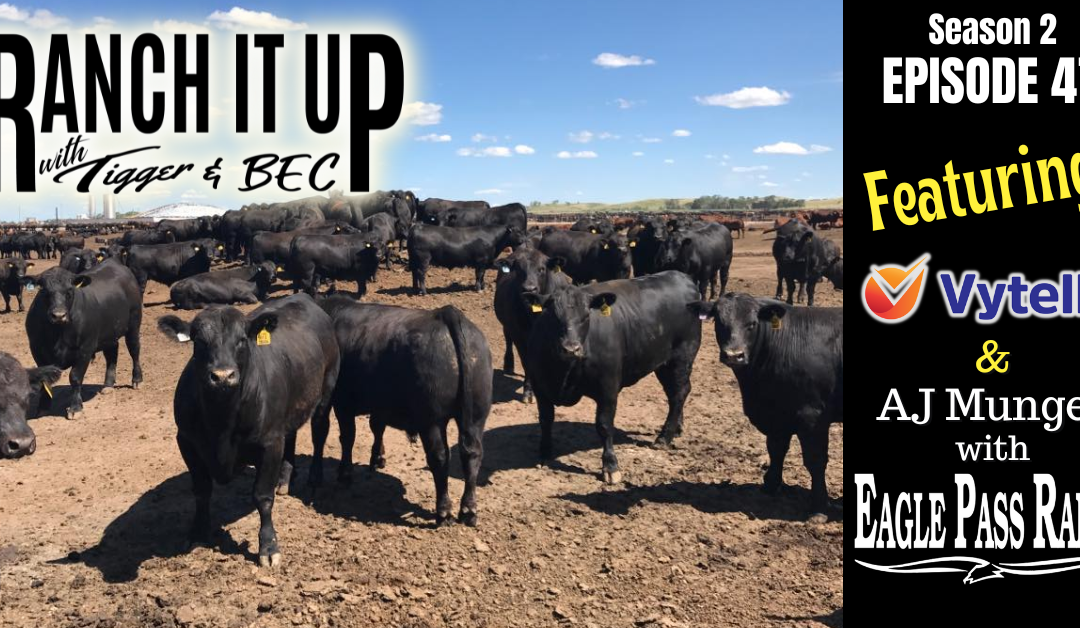Stop #1 Along The Making Cattle Profitable Tour!!