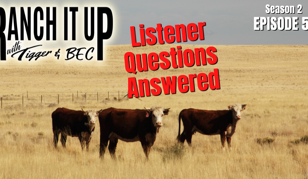 Listener Questions Answered, Market Updates & More!