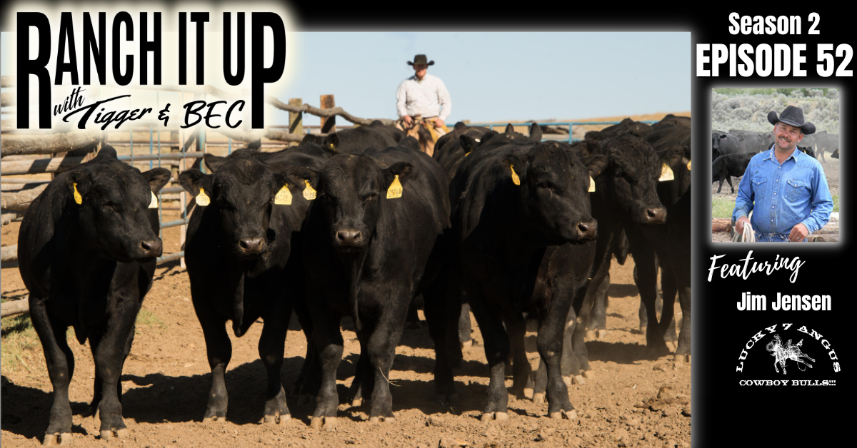 RIU S2 E52 Website & Radio Lucky 7 Angus Jim Jensen Cattle Markets Livestock Cattle Prices Jeff Erhardt Tigger