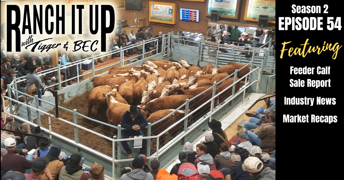 RIU S2 E54 Website & Radio Cattle Markets Livestock Cattle Prices Jeff Erhardt Tigger Rebecca Wanner BEC