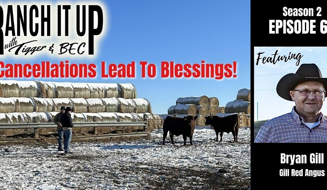 Cancellations Lead to Blessings, Xmas Memories, Markets & More!