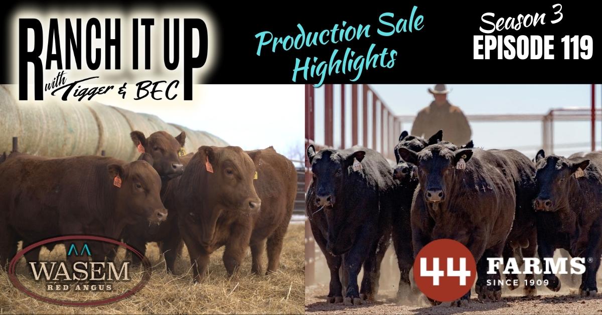 RIU S3 E119 Website & Radio 44 Farms Bull Sales Ranch Markets Livestock Cattle Prices Seedstock Jeff Erhardt Tigger Rebecca Wanner BEC Wasem Red Angus