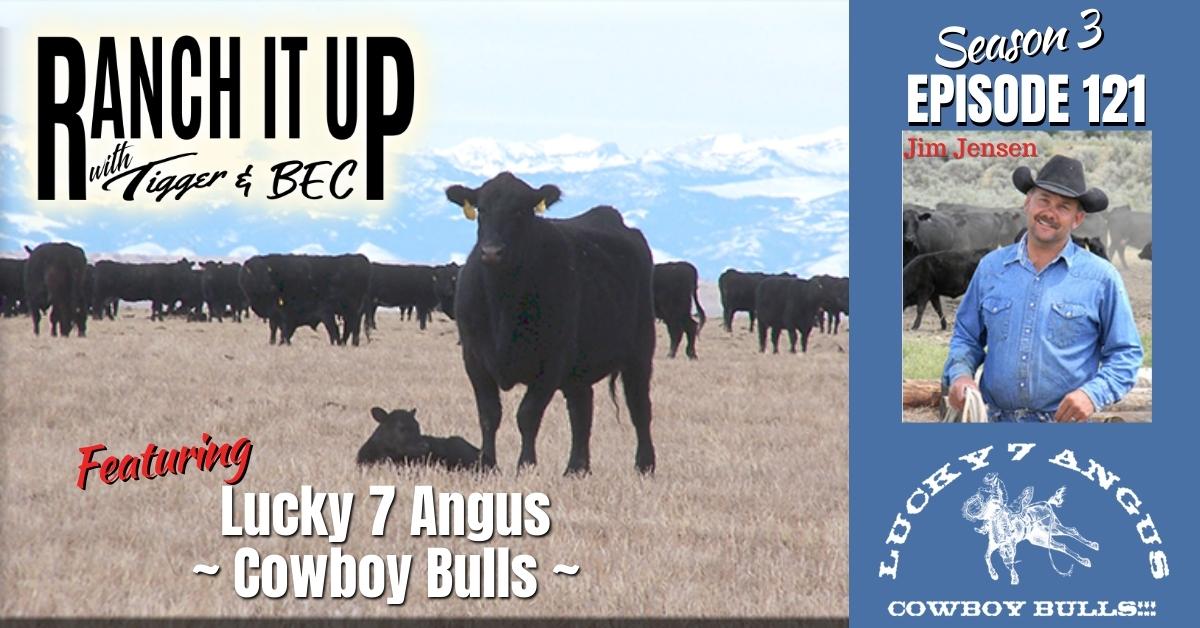 RIU S3 E121 Website & Radio Lucky 7 angus Bull Sales Ranch Markets Livestock Cattle Prices Seedstock Jeff Erhardt Tigger Rebecca Wanner BEC Jim Jensen