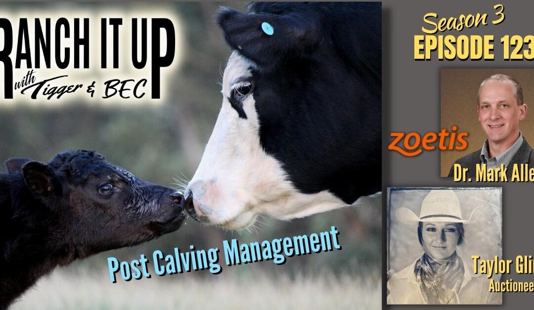 Vaccination Management, Young Auctioneer, Sale Reports, News!!