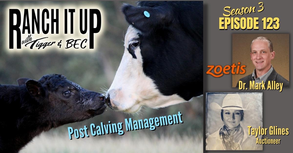 RIU S3 E123 Website & Radio Zoetis Farm Ranch Markets Livestock Cattle Prices Seedstock Jeff Erhardt Tigger Rebecca Wanner BEC Dr. Mark Alley Taylor Glines Auctioneer