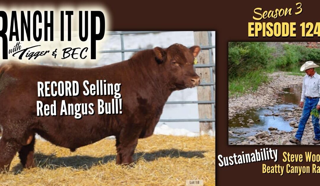 Sustainability, World Record Red Angus, News & Markets