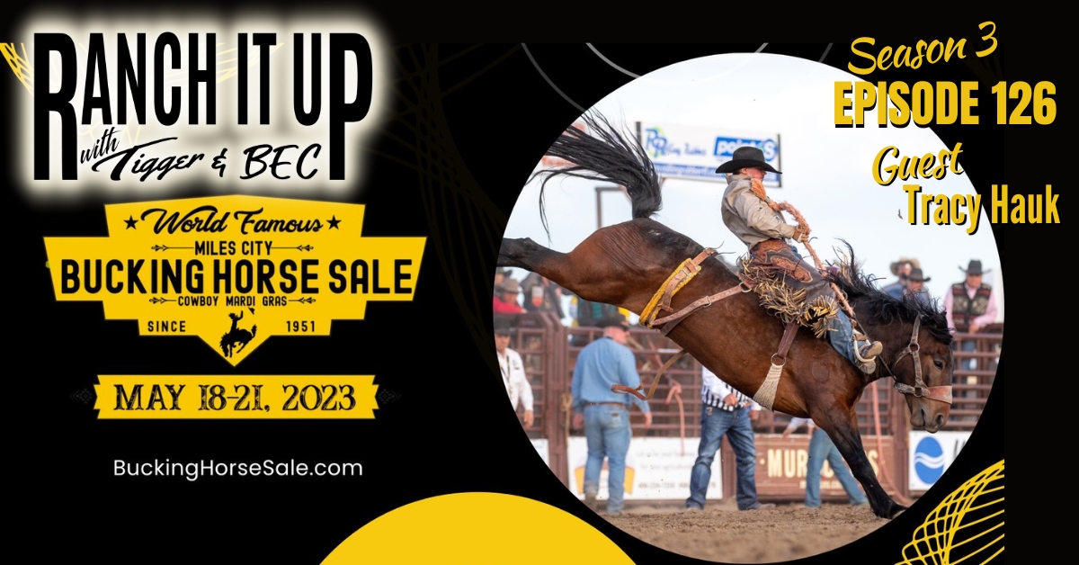 RIU S3 E126 Website & Radio Miles City Bucking Horse Sale Farm Ranch Markets Livestock Cattle Prices Seedstock Jeff Erhardt Tigger Rebecca Wanner BEC Tracy Hauk