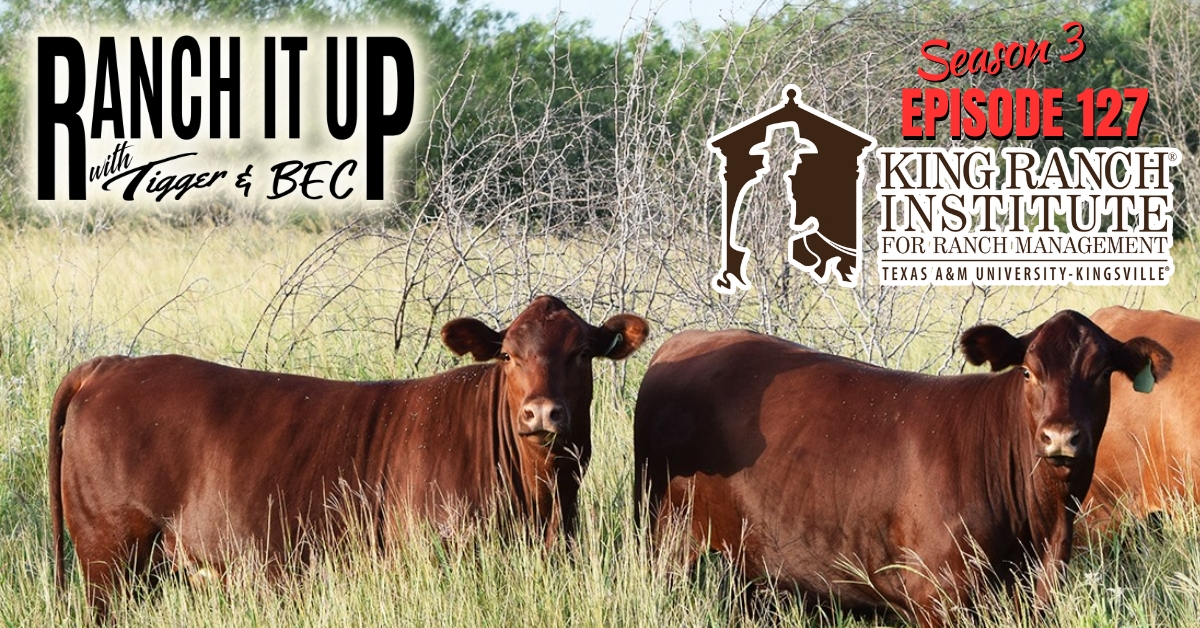RIU S3 E127 Website & Radio King Ranch Institute for Ranch Markets Livestock Cattle Prices Seedstock Jeff Erhardt Tigger Rebecca Wanner BEC Texas A&M University