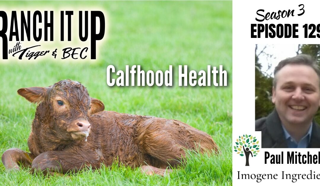 Calf Hood Health, Bucking Horses, Semen Sales, Genetic Selection and Lots More