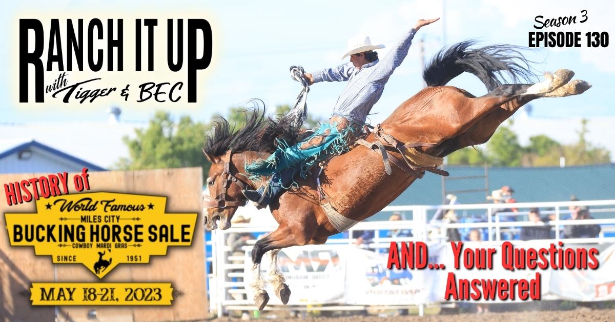 Ranch It Up Radio Show history of World Famous Miles City Bucking Horse Sale Tigger & BEC Jeff Erhardt Rebecca Wanner Cattle Genetics Markets