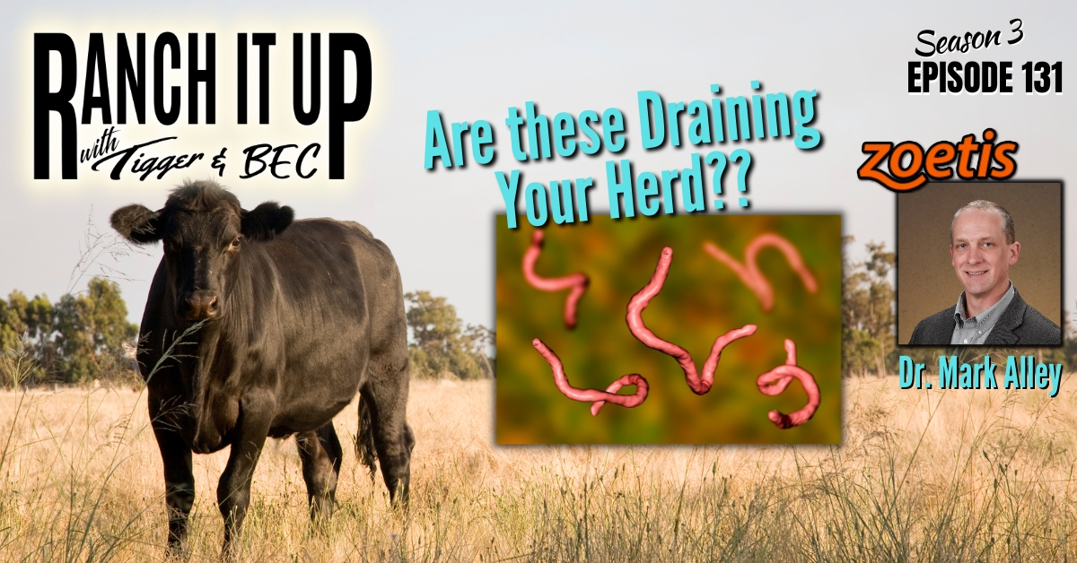 Stop Draining Money From Your Cow Herd, Parasite Control