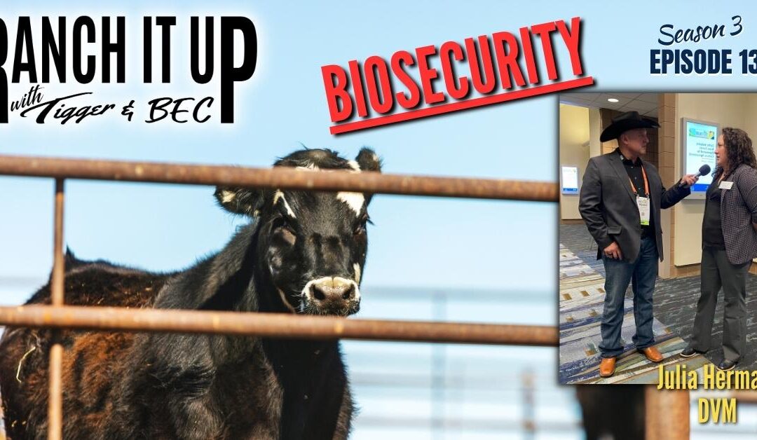 How To Beef Up Biosecurity To Protect Herd Health