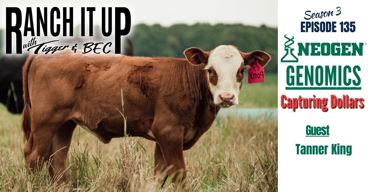 RIU S3 E135 Website & Radio Neogen Genomics Adding Dollars To Your Cattle Ranch Or Farm Markets Livestock Cattle Prices Seedstock Jeff Erhardt Tigger Rebecca Wanner BEC Tanner King