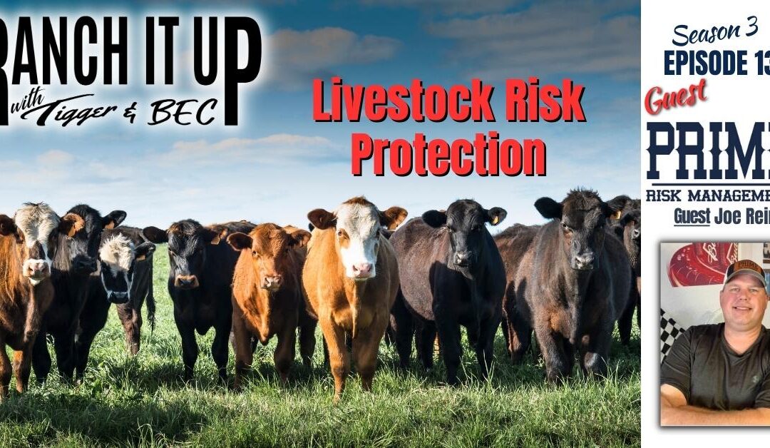 What Is Livestock Risk Protection? The Benefits Explained