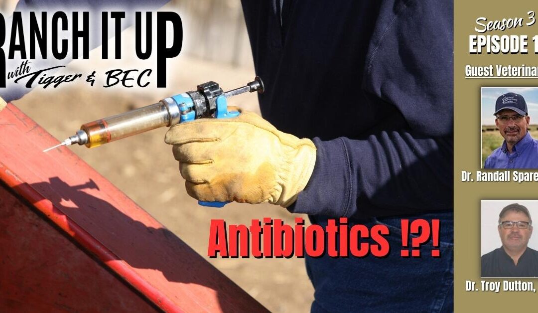 Can We Get Livestock Antibiotics Any Longer? We Have The Answers!