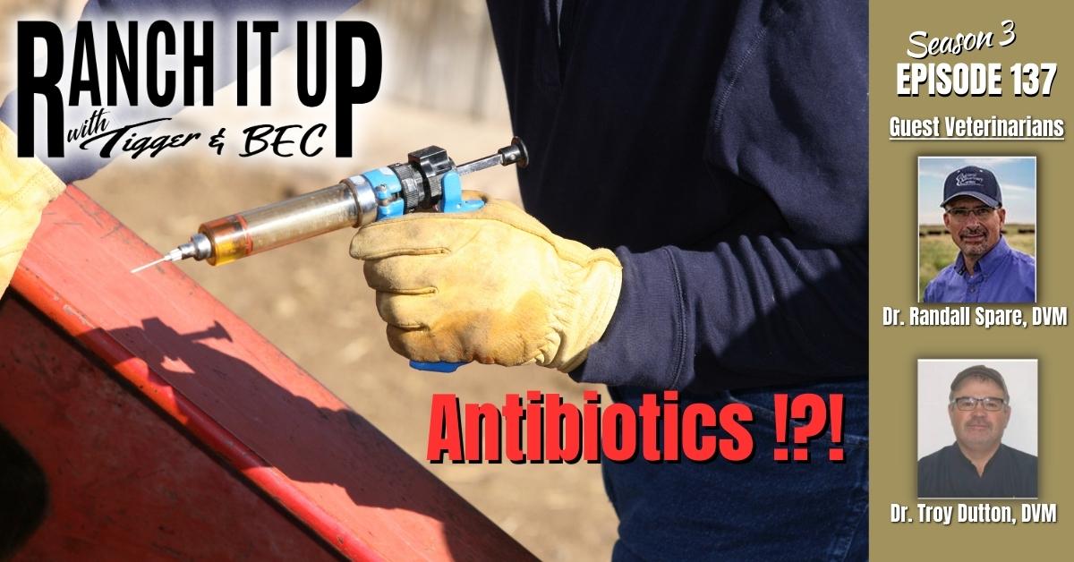 Can We Get Livestock Antibiotics Any Longer? We Have The Answers!