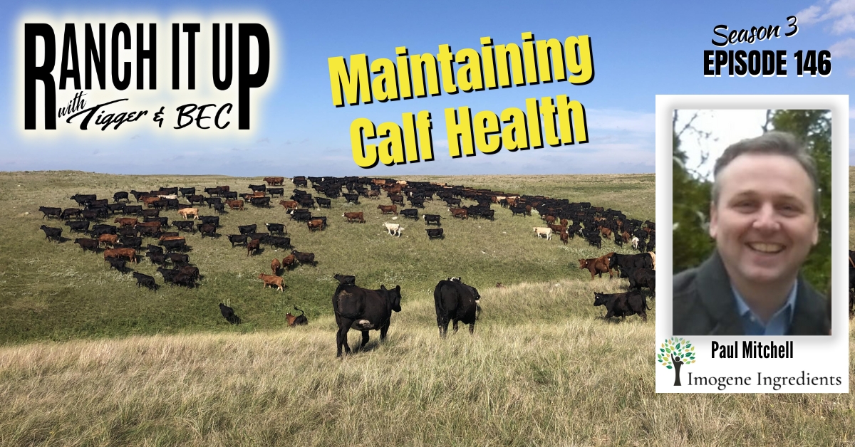Are Your Calves Healthy & Can You Keep Them Healthy?